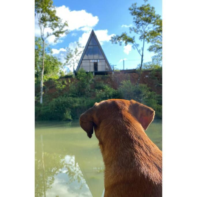 A-frame, Rio Celeste In Premises And Close To Park San Rafael De Guatuso
