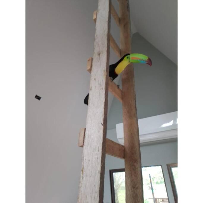 A-frame, Rio Celeste In Premises And Close To Park *